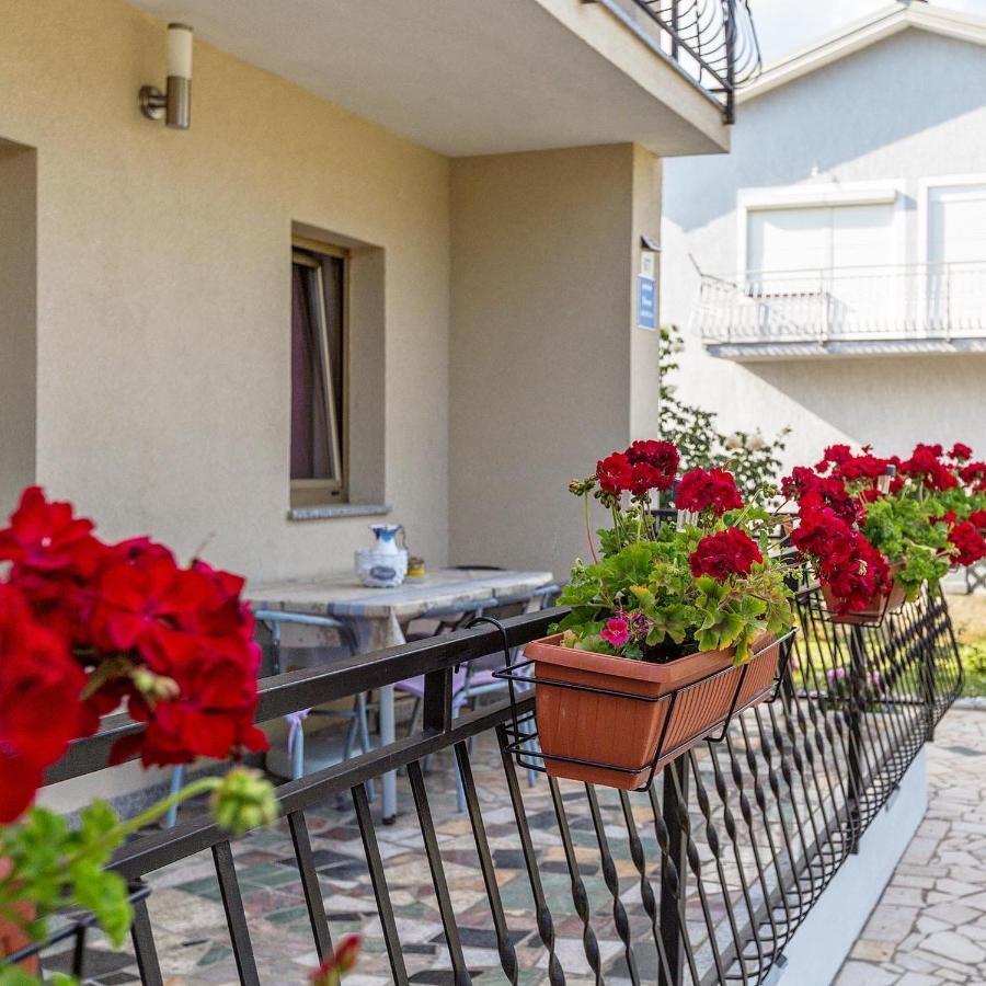 Apartment Belma Porec Radmani Eksteriør billede